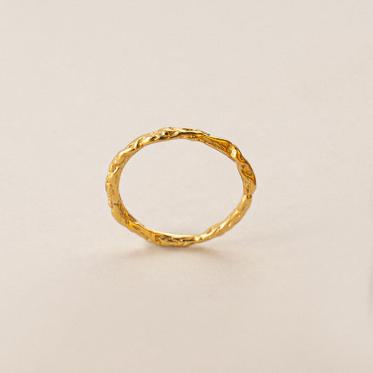 Subtle Elegance Dainty Silver & Gold Ring